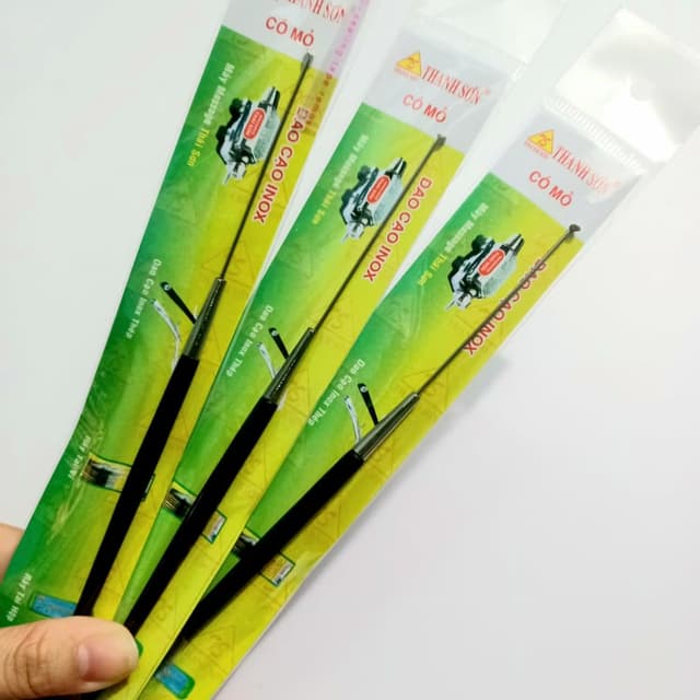 Lố 10 Cây Rái Tai Thanh Sơn ( Lẻ 1 cây ) 