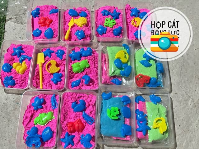 Hộp Cát Động Lực Học