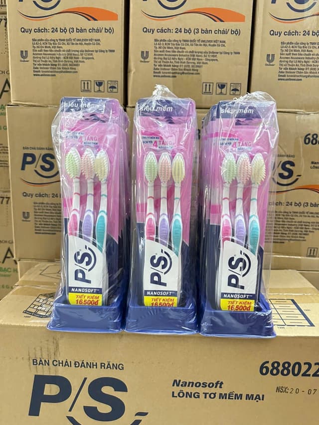 Bộ 3 Cây Bàn Chảy Ps Lông Tơ 