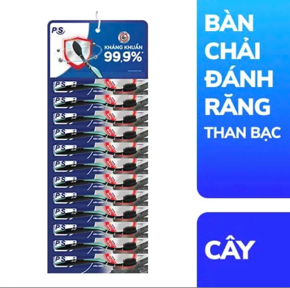 Vỉ 12 Bàn chải PS Than